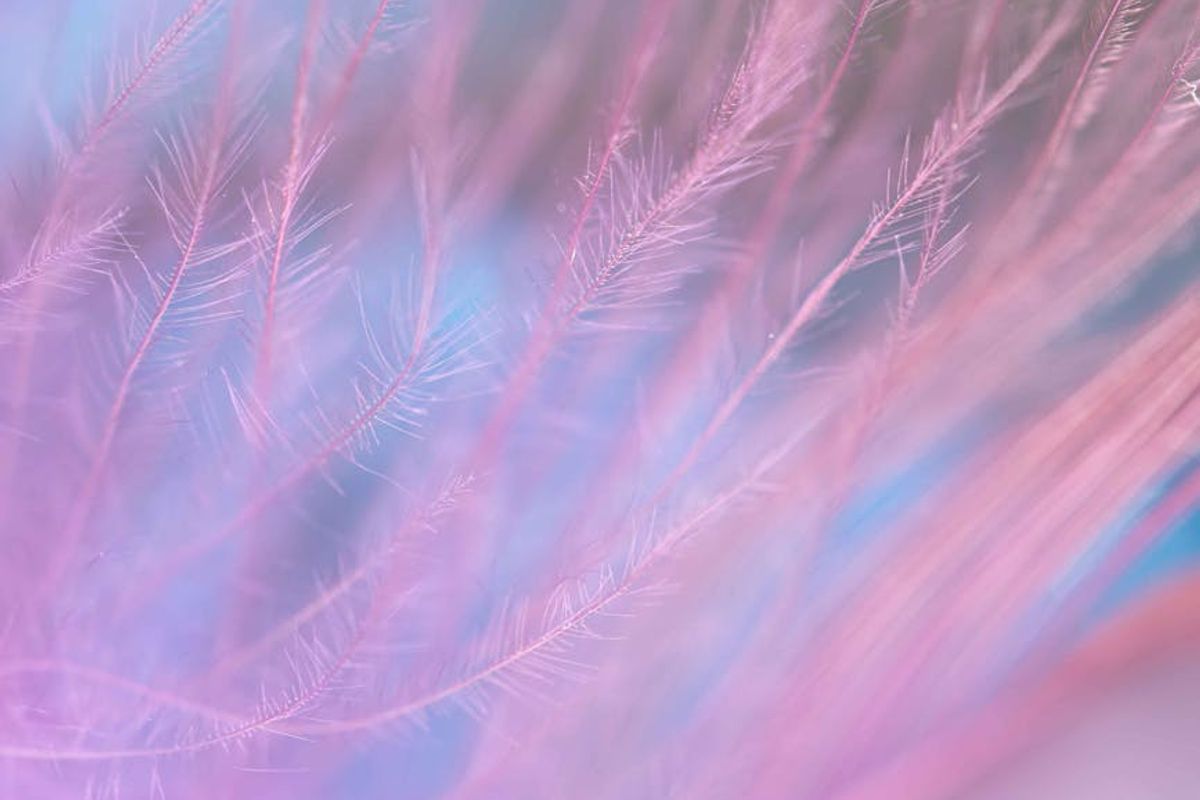 Abstract sapphire blue wave shape for background.